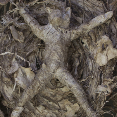 Vitruvian Coyote Detail